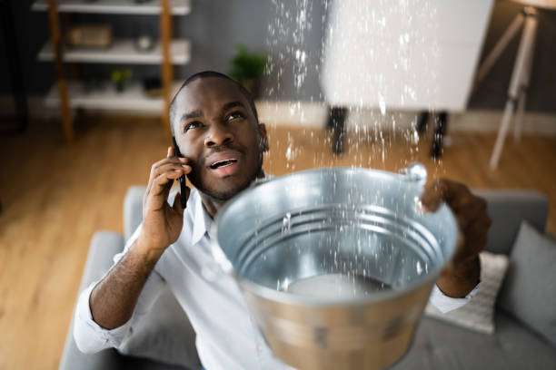 Best Water damage restoration specialists  in Hernando, FL
