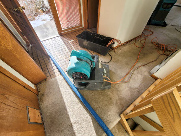 Local water damage restoration in Hernando, FL