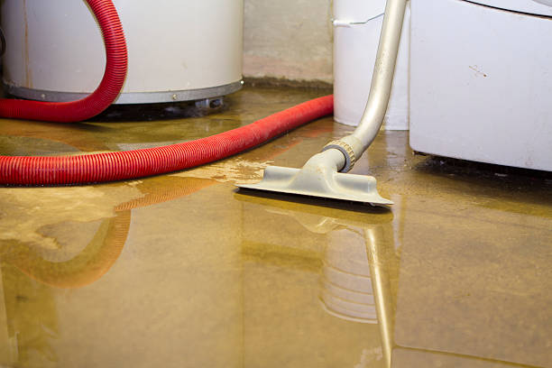 Best Carpet water damage restoration  in Hernando, FL