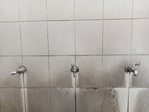 Best Mold removal after water damage  in Hernando, FL