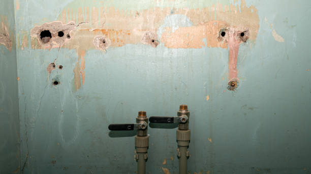 Best Water damage contractors near me  in Hernando, FL