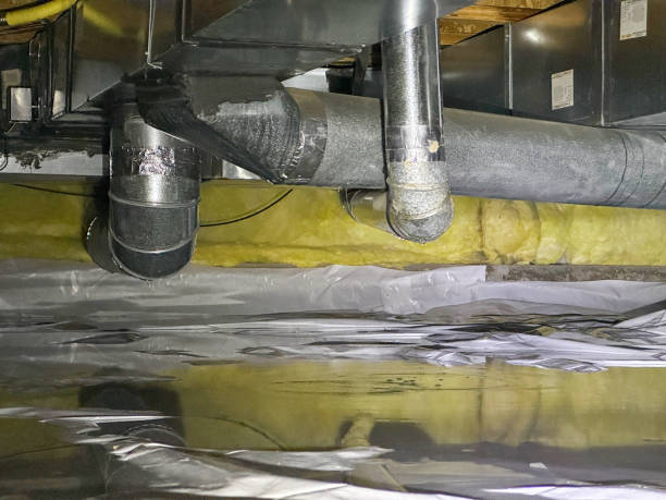 Best Fire Damage Restoration  in Hernando, FL