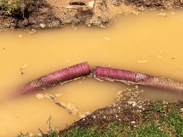 Water damage restoration process in Hernando, FL