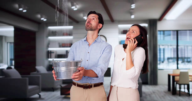 Best Commercial water damage restoration  in Hernando, FL