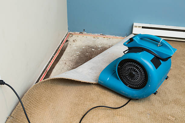 Best Residential water damage restoration  in Hernando, FL